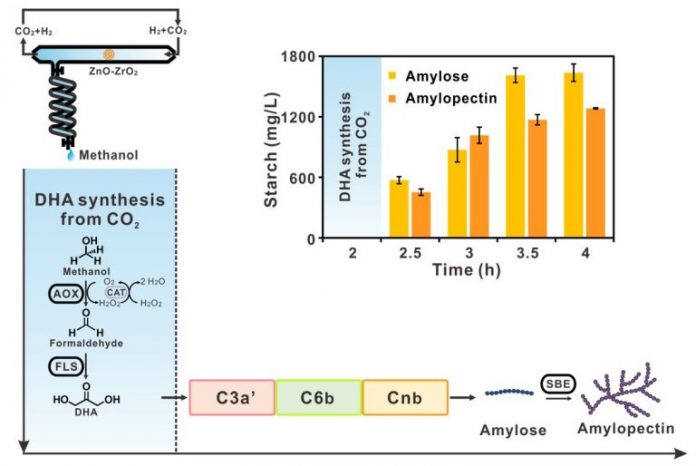 Produção de amido de CO2