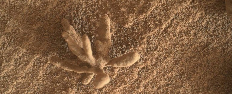 Flor mineral em Marte: Curiosity registra o momento