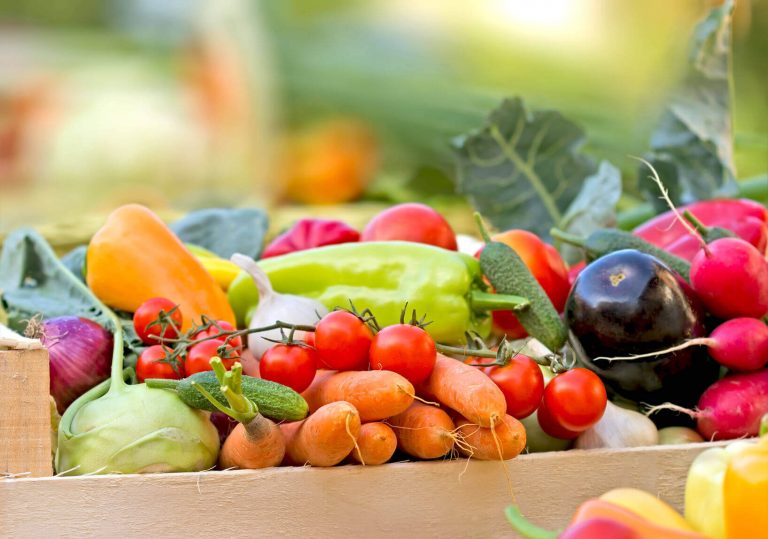 Combate ao desperdício de alimentos: foodtech quer captar R$ 1,3 milhão