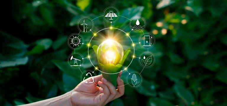 Inovação no meio ambiente ocorre graças à investimento na ciência