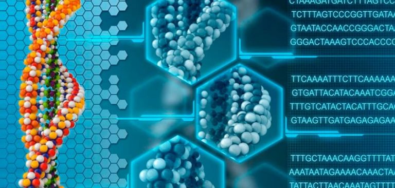 Mapeamento do DNA brasileiro: Dra. Lygia da Veiga se une a investidores