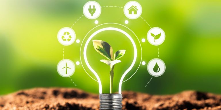 Inovação e sustentabilidade andam juntas: saiba como