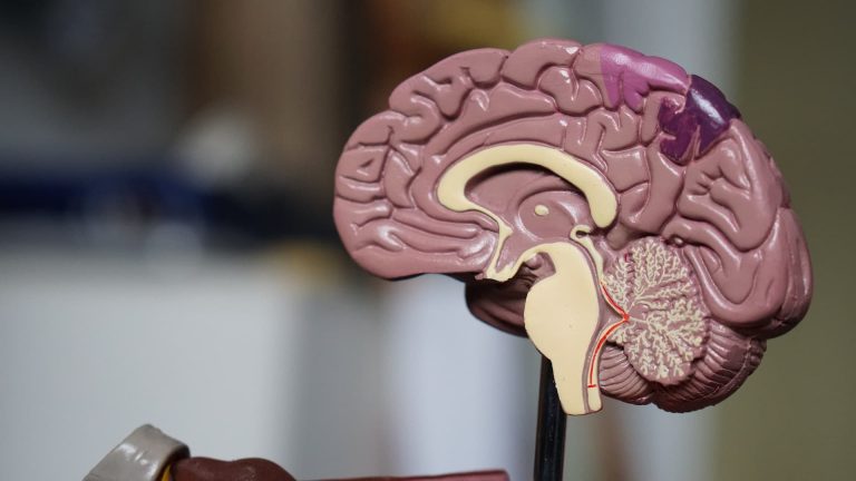 Diagnóstico de Alzheimer poderá ser detectado por exame de sangue