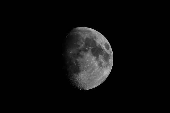 Seres vivos vindos da Terra podem estar na Lua