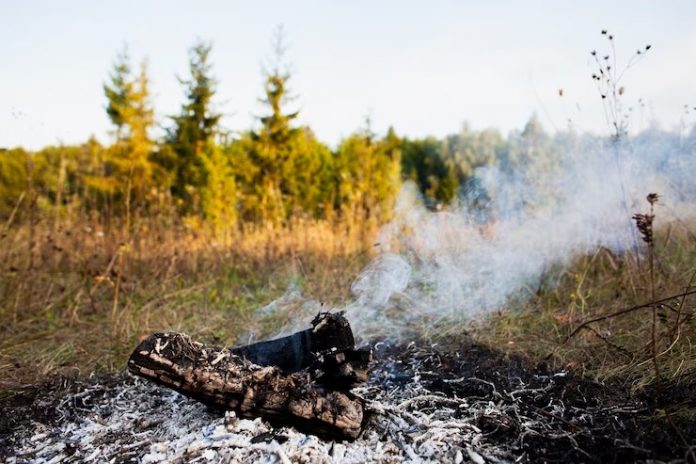 Defesa ambiental: Tecnologia é aliança estratégica contra incêndios