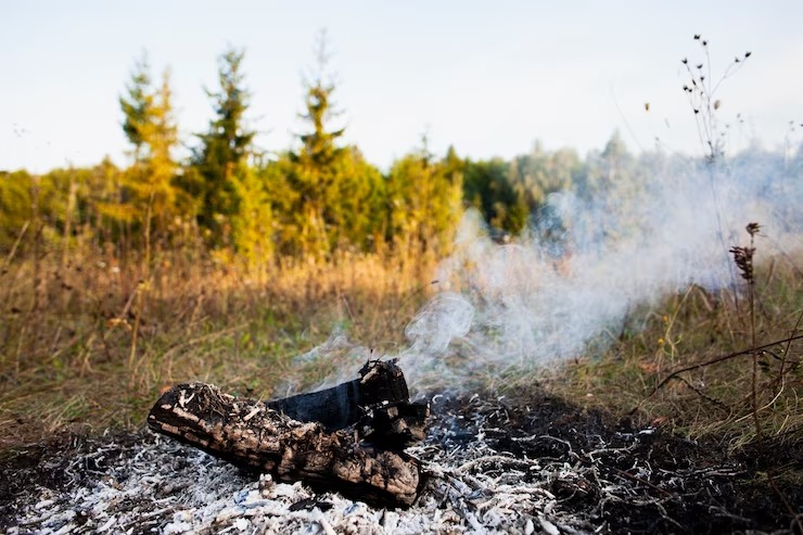 Defesa ambiental: Tecnologia é aliança estratégica contra incêndios