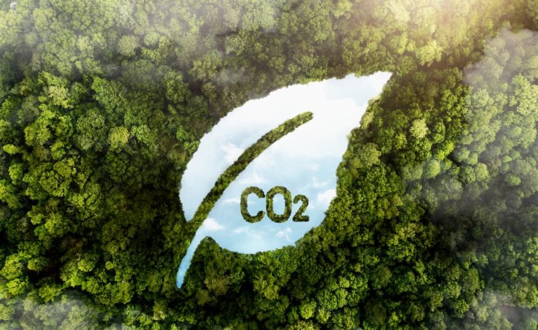 Mercado de carbono: Empresa brasileira oferece tecnologia geoespacial